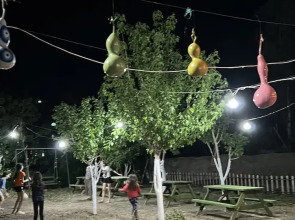 Adrasan Parlak Evleri