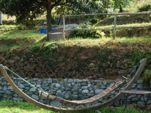 Casalina