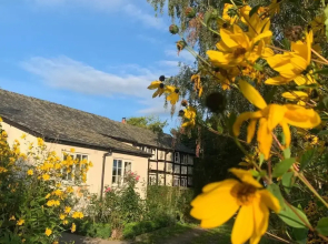 Yew Tree Cottage B&B