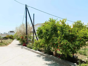 Saonisos