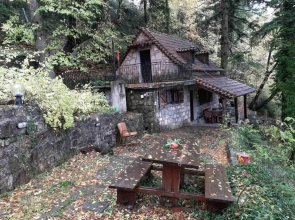 Forest House