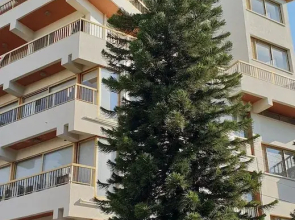 NEX Hostel