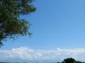 Aroggia Farm
