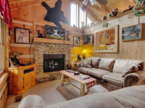 Apple Bear View #116