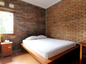 Disaster Oasis By Zuzu