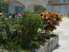 Penthouse B North El Cantil