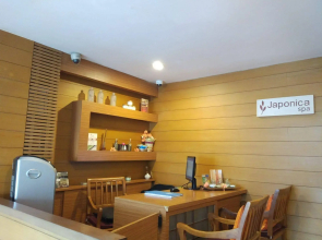 Stark Boutique Hotel and Spa Bali