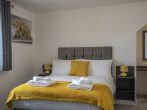 Paddington by Pureserviced