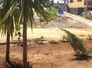 Arenas de San Francisco