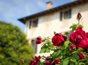 Hotel Villa Cipriani