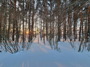 LaDacha