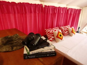 Yala National Park Camping