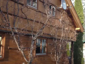 Ferienhaus Zirmheim