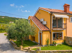 House In The Vineyards