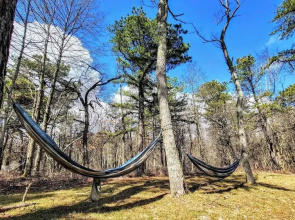 The Wooden Nest by Avantstay Deck, Big Yard w/ Hammocks & Fire Pit