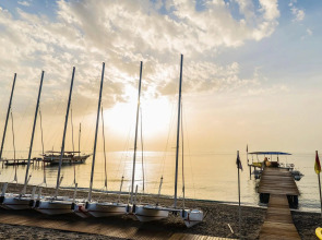 Robinson Camyuva - Adults only