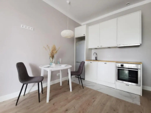 Tolstoi Scandinavian 1 bedroom apartment + free parking