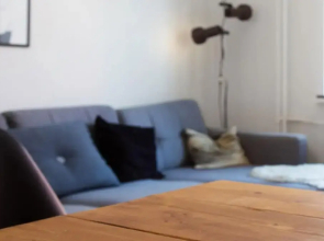 Cozy One-bedroom Apartment in Copenhagen Østerbro