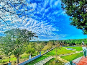 Green Roof Boutique Hotel & SPA