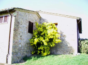 Podere San Donnino