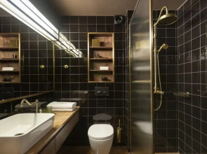 Отель Brown Acropol