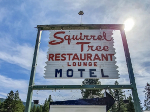 Squirrel Tree Resort