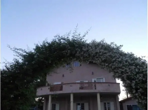 Villa Al Mare