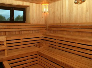 Rudiņi