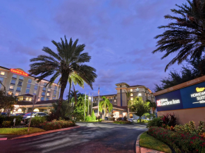 Hilton Garden Inn Lake Buena Vista/Orlando