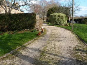 Farmhouse in an amazing private park