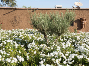 La Ferme El Dar