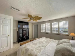 Enjoy Sunset with Dolphin and Manatee