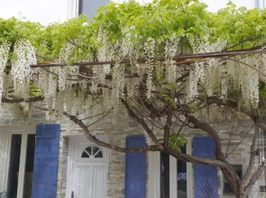 Le Mas Cothy en Provence