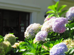 Aan de Oever Guesthouse