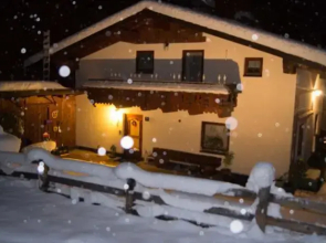Wolf.Tirol