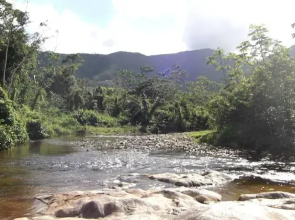 Hummingbird Guest Lodge & Hostel