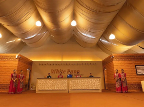 White Rann - The Tent City