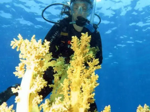 Aida Hotel Sharm El Sheikh