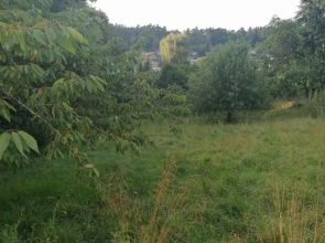 Villa Hinterland