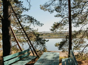 Северная Звезда