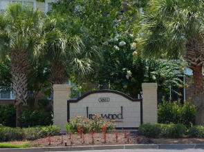 611IW Ironwood