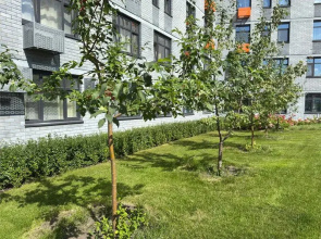 GOSH Apartaments on st. Pervootkryvatelej, 8