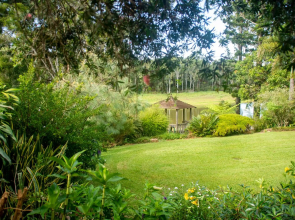 The Lake House