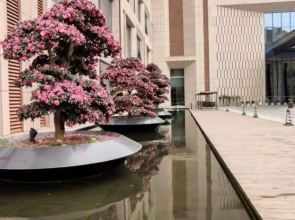 Wuyiyue Hotel