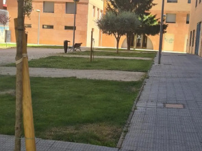 calle toro