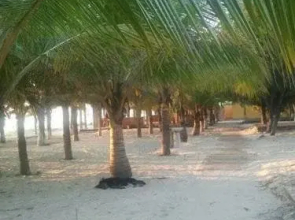 19th Century - Cat Bien Farmstay Resort