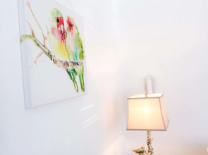 Cattleya's New Kingston Guest Apartment