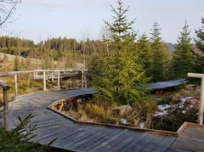Ferienwohnung Vogelnest im Schwarzwald