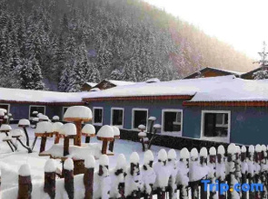 Snow Village Inn