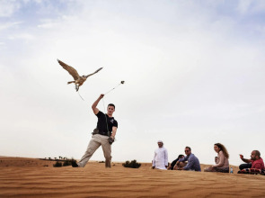 Pullman Dubai Jumeirah Lakes Towers - Hotel & Residence